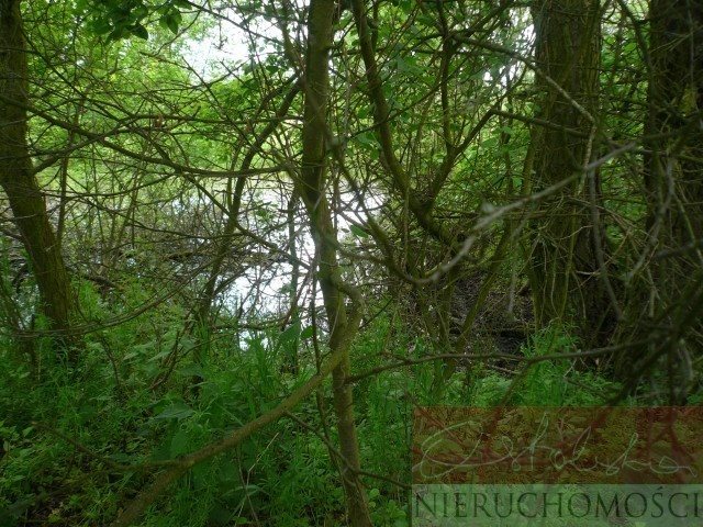 Działka siedliskowa na sprzedaż Nienawiszcz 13 638m2 Foto 1 Działka siedliskowa na sprzedaż Nienawiszcz 13 638m2 Foto 1