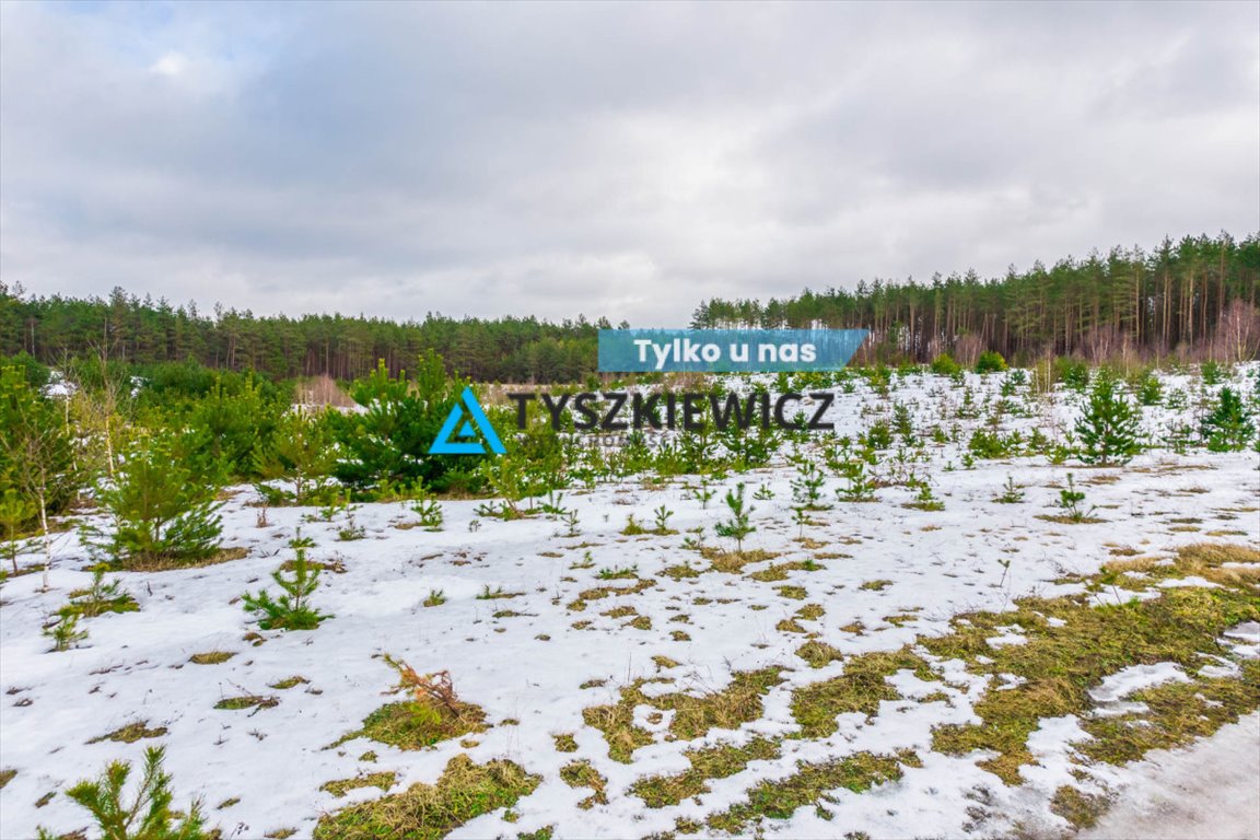 Działka budowlana na sprzedaż Nowa Kiszewa  1 047m2 Foto 1