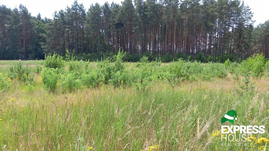 Działka budowlana na sprzedaż Niewodnica Korycka  824m2 Foto 2