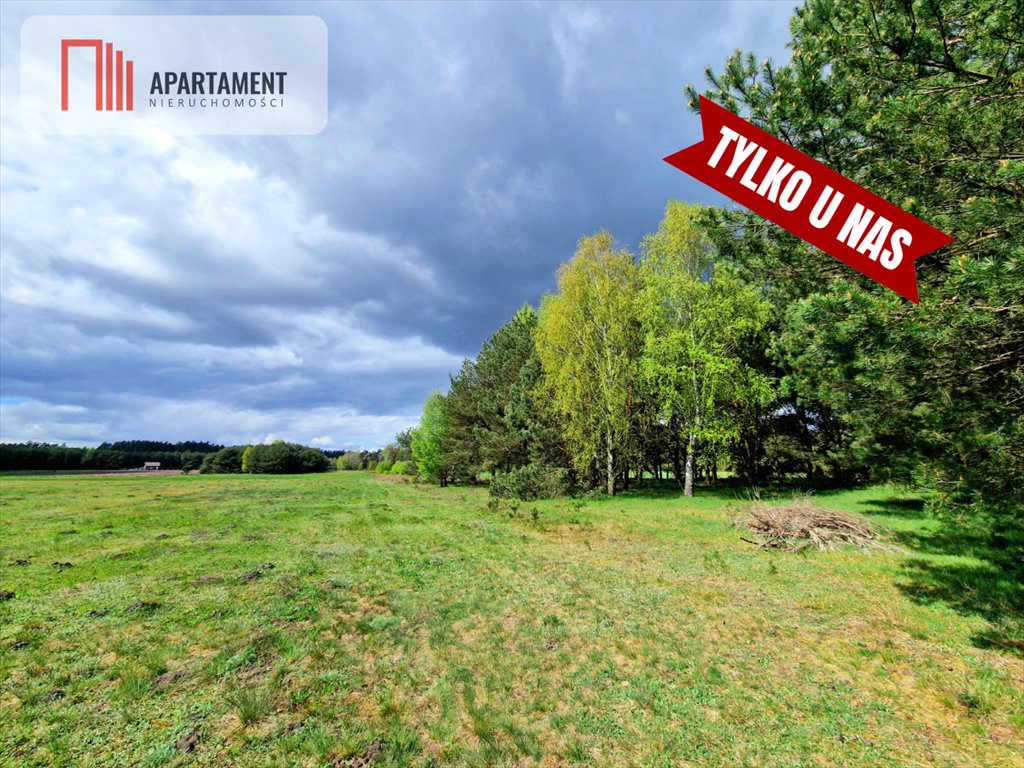 Działka budowlana na sprzedaż Lubocień  6 000m2 Foto 8