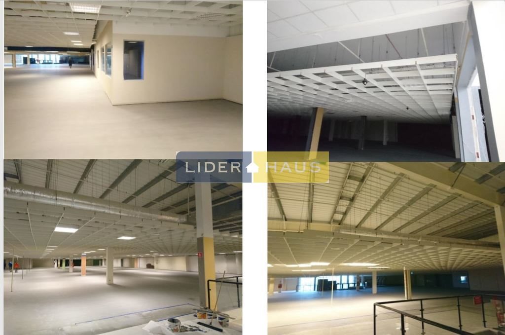 Lokal użytkowy na wynajem Łomianki 500m2 Foto 1 Lokal użytkowy na wynajem Łomianki 500m2 Foto 1