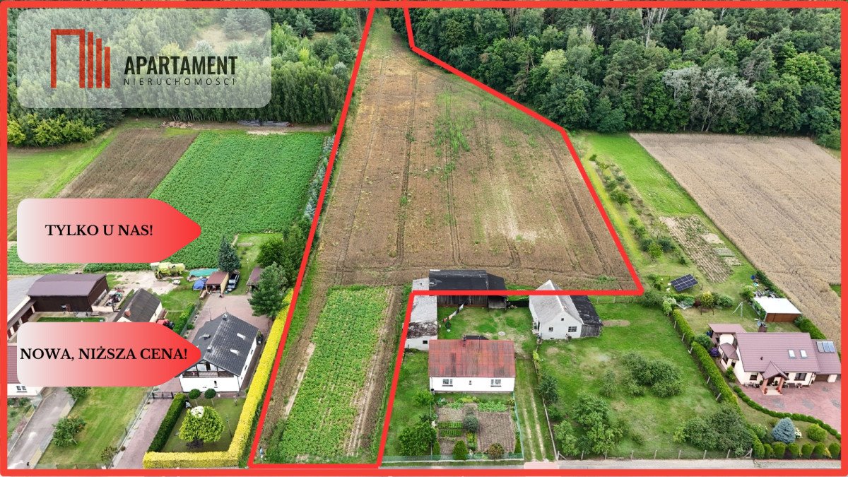 Działka budowlana na sprzedaż Gruczno  11 369m2 Foto 1