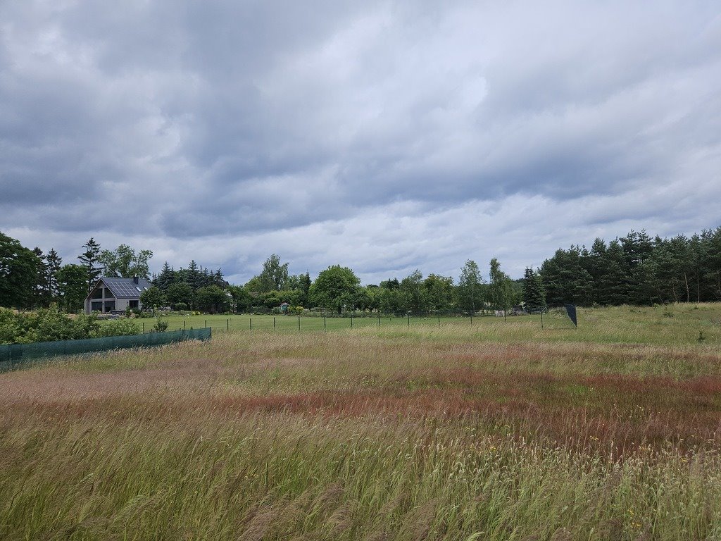 Działka budowlana na sprzedaż Klepin  1 204m2 Foto 11