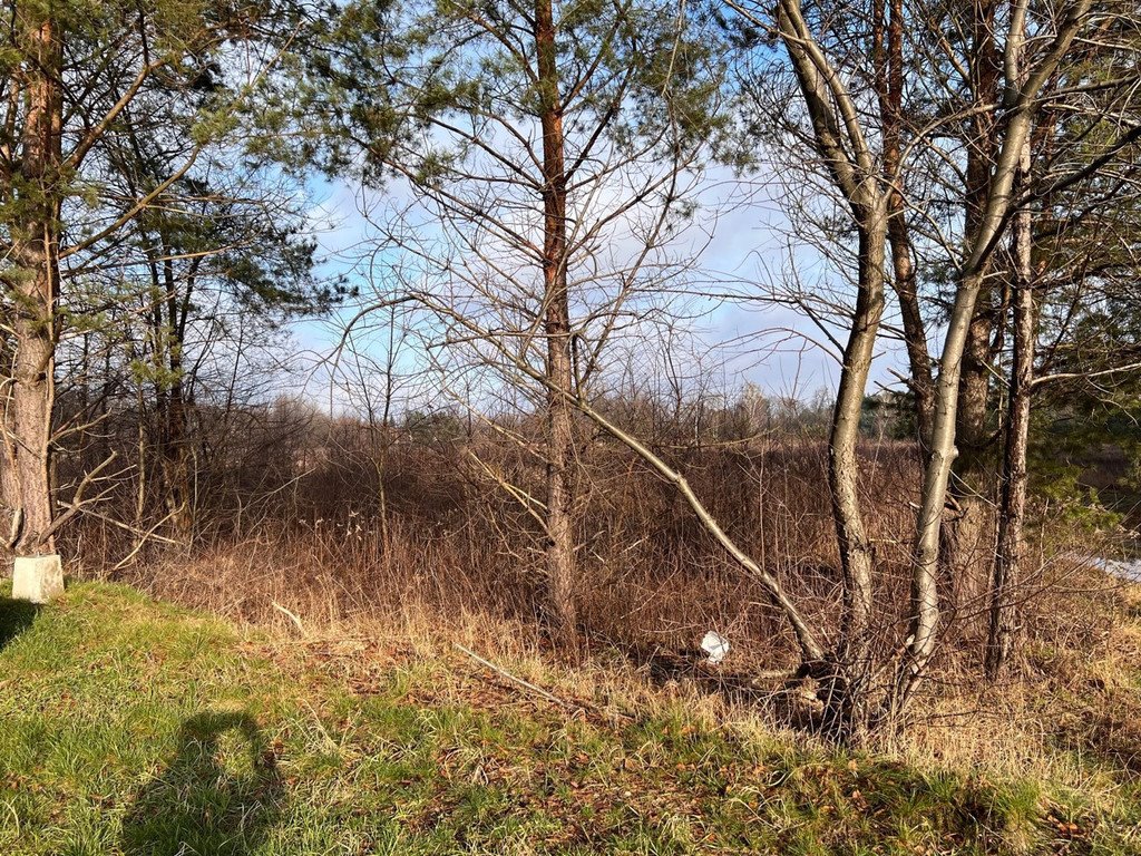 Działka budowlana na sprzedaż Żanęcin, Trakt Lubelski  3 880m2 Foto 4