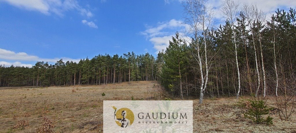 Działka budowlana 3 090 m² w Czersku – spokojna okolica Czersk, Tucholska  3 090m2 Foto 1