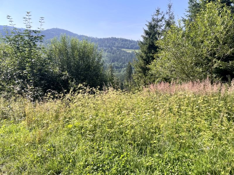 Działka inna na sprzedaż Wisła, Wisła, Cieńków  2 400m2 Foto 3