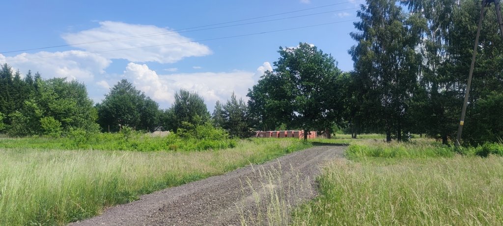 Działka budowlana na sprzedaż Borzęcin Mały  1 000m2 Foto 2