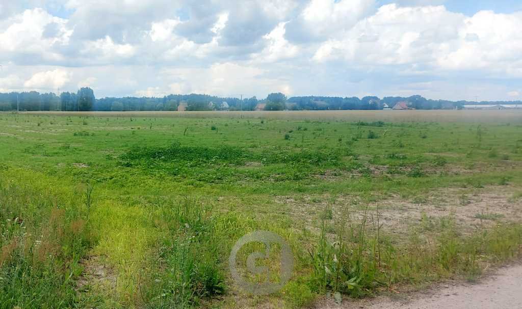 Działki 1200 m2 przy lesie, media, utwardzona droga Dziersławice  1 200m2 Foto 1