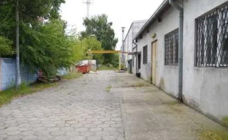 Lokal użytkowy na sprzedaż pruszkowski  6 000m2 Foto 4