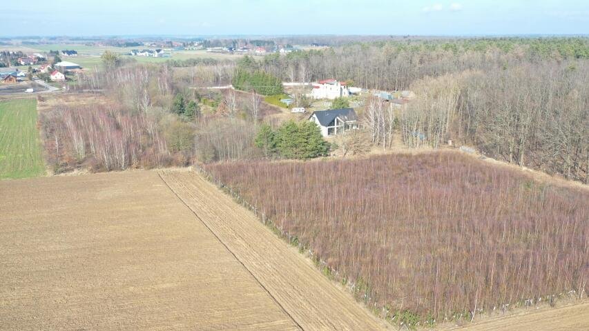 Dom na sprzedaż Elżbiecin, Elżbiecin  244m2 Foto 15