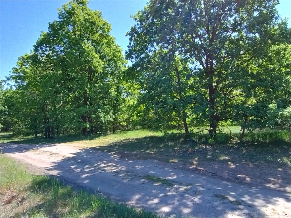 Działka budowlana na sprzedaż Józefów, Jaglana  1 500m2 Foto 3