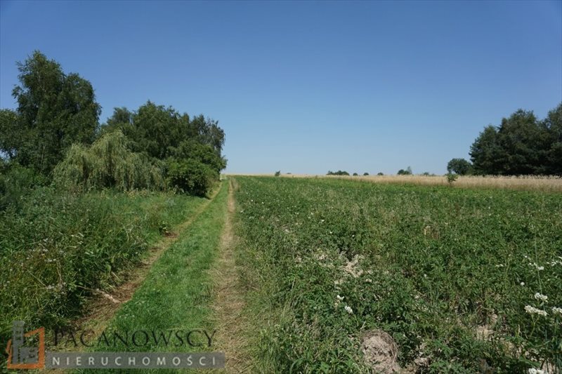 Działka inna na sprzedaż Cianowice Duże 8 300m2 Foto 1 Działka inna na sprzedaż Cianowice Duże 8 300m2 Foto 1