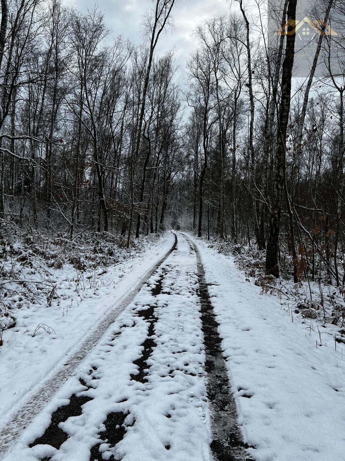 Działka leśna na sprzedaż Perła  9 400m2 Foto 4