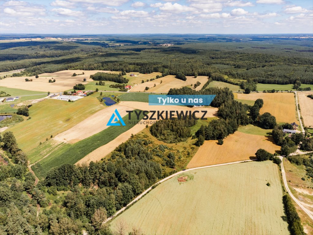 Działka rolna na sprzedaż Czarna Dąbrówka, Kaszubska  30 100m2 Foto 1