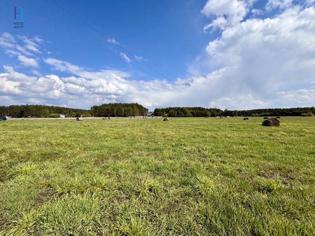 Działka budowlana na sprzedaż Stary Adamów, Działkowa  951m2 Foto 9