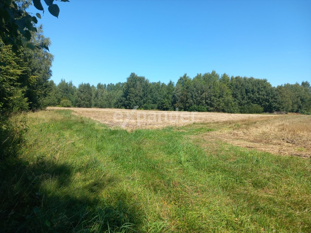 Działka 1,82 ha w Blinno z możliwością dokupienia Blinno  18 200m2 Foto 1