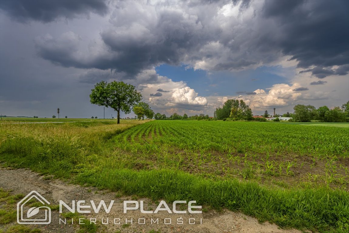 Działka przemysłowo-handlowa na sprzedaż Jordanów Śląski  22 800m2 Foto 4