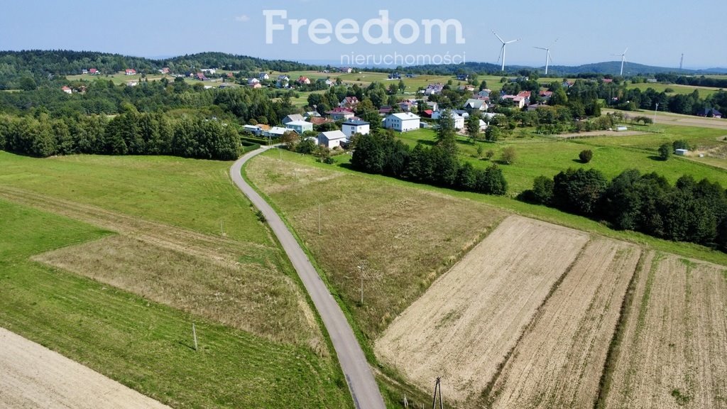 Działka budowlana na sprzedaż Kobylany  4 000m2 Foto 4