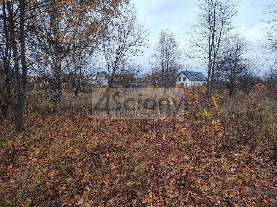 Działka budowlana na sprzedaż Rusiec  966m2 Foto 1