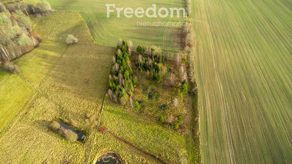 Działka budowlana na sprzedaż Klonowo Górne, Świerkowa  3 987m2 Foto 17