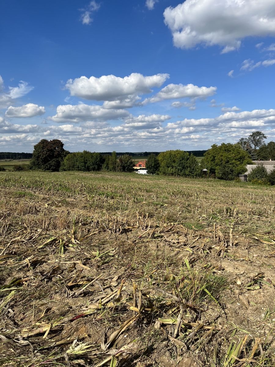 Działka budowlana na sprzedaż Sława  1 000m2 Foto 3