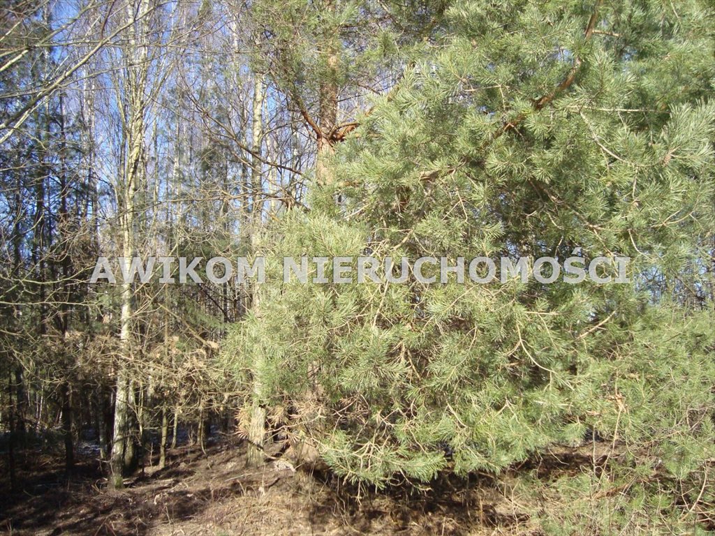 Działka 1305 m² z mediami, MPZP, blisko Warszawy Żelechów  1 305m2 Foto 1