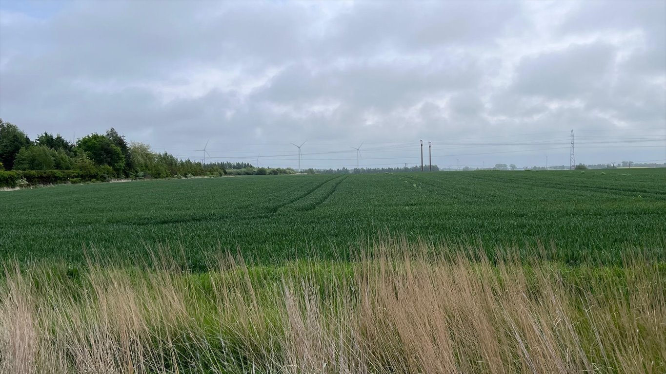 Ustronie Morskie - 13 działek pod zabudowę i rolę 3094 m² Ustronie Morskie  3 094m2 Foto 1