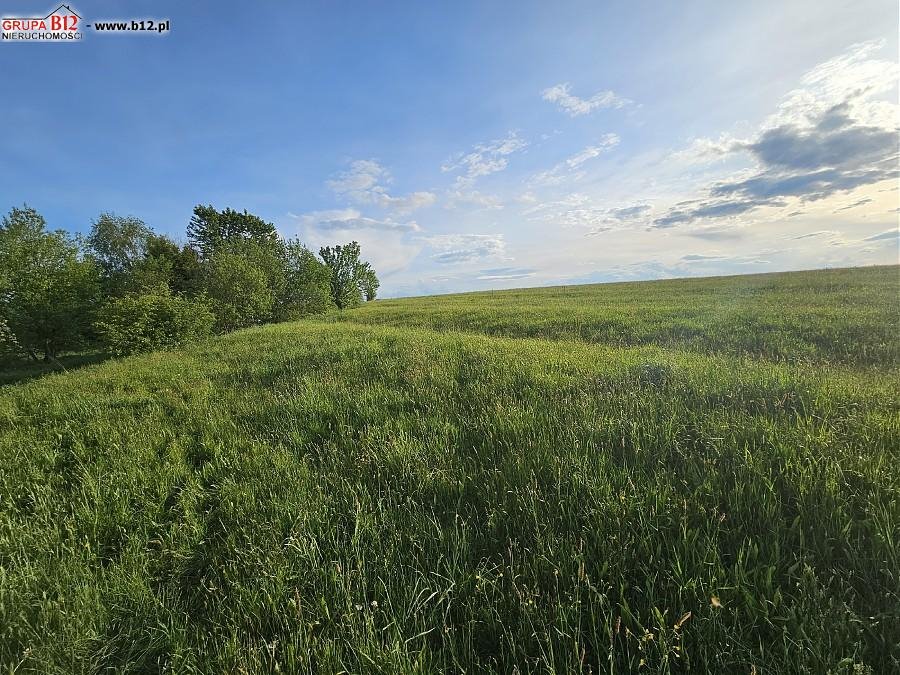 Działka budowlana na sprzedaż Waksmund, Waksmund, Jana Pawła II  1 277m2 Foto 8