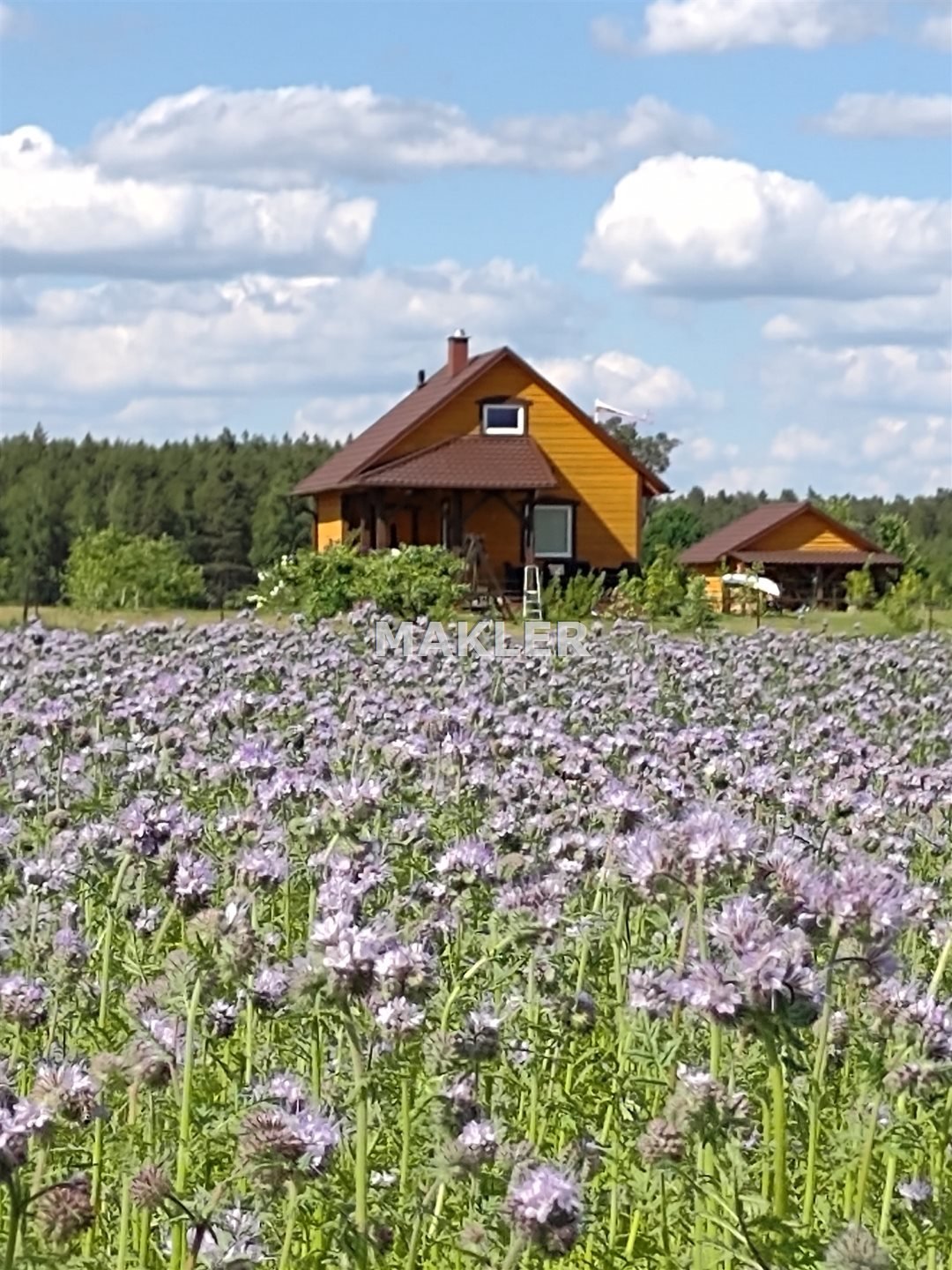 Dom na sprzedaż Glinki  80m2 Foto 5