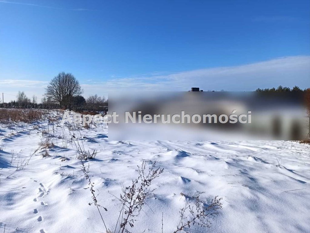 Działka budowlana na sprzedaż Wodzisław Śląski  8 600m2 Foto 4