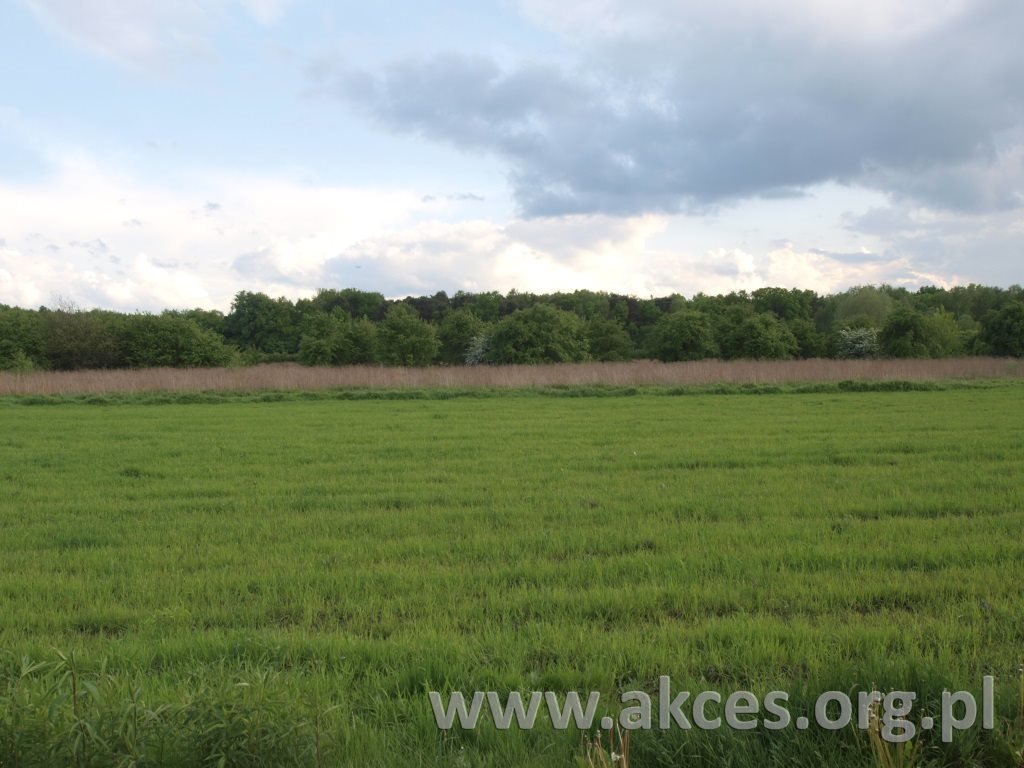 Działka budowlana na sprzedaż Duchnów  3 500m2 Foto 1