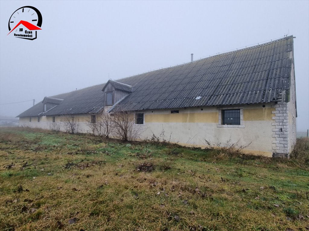 Lokal użytkowy na wynajem Kania  610m2 Foto 9