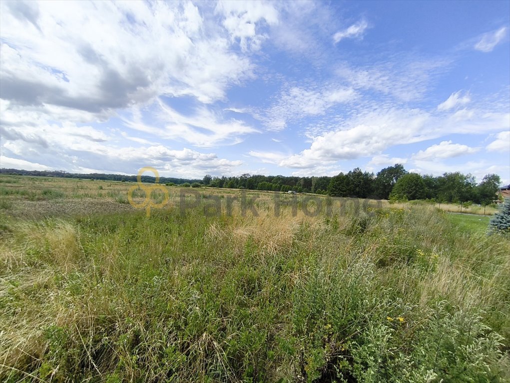 Polecam działkę rolną 451 m² w Otyniu - idealna na rekreację Otyń, Miodowa  451m2 Foto 1
