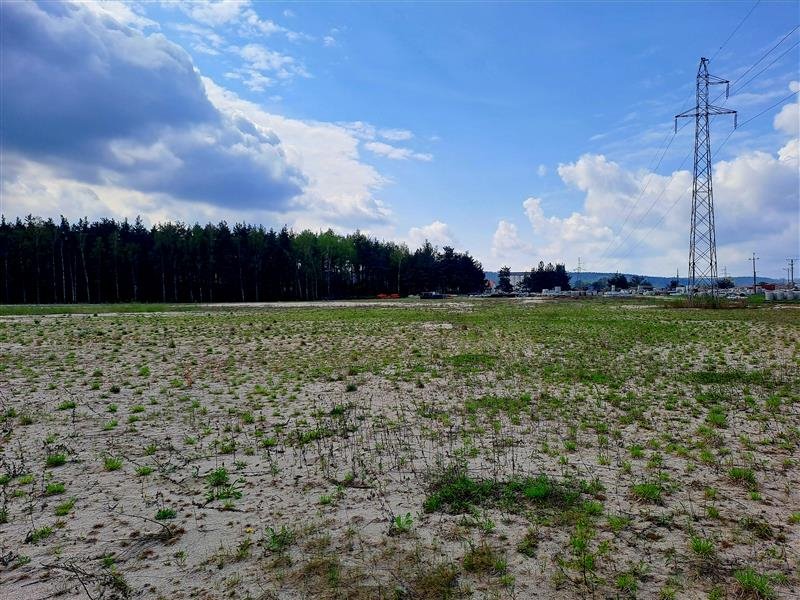 Działka inna na sprzedaż Lębork, Kaszubska  10 600m2 Foto 1