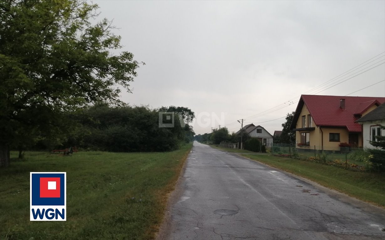 Działka rolna na sprzedaż Putnowice-Kolonia, Kolonia Putnowice  16 600m2 Foto 4