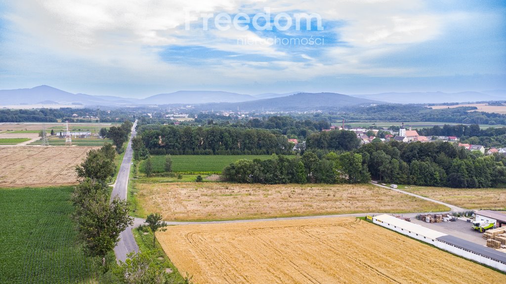 Działka budowlana na sprzedaż Głuchołazy  798m2 Foto 5