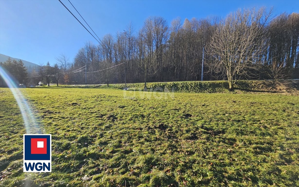 Działka budowlana na sprzedaż Ustroń, Brody  1 900m2 Foto 10