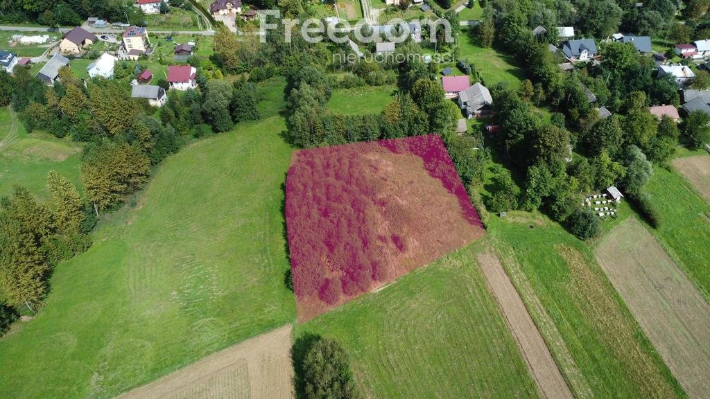 Działka inna na sprzedaż Wydrna  3 700m2 Foto 1