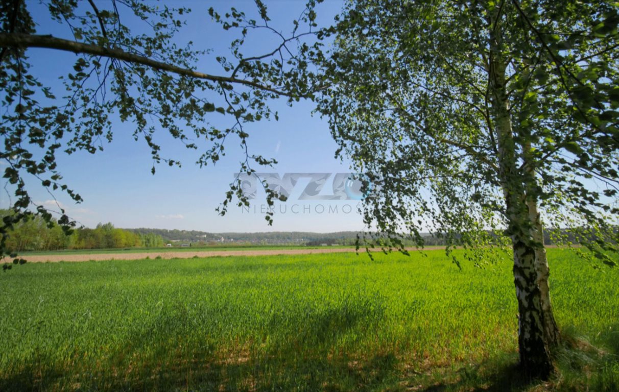 Działka budowlana na sprzedaż Wojszyn, Wojszyn  6 000m2 Foto 1