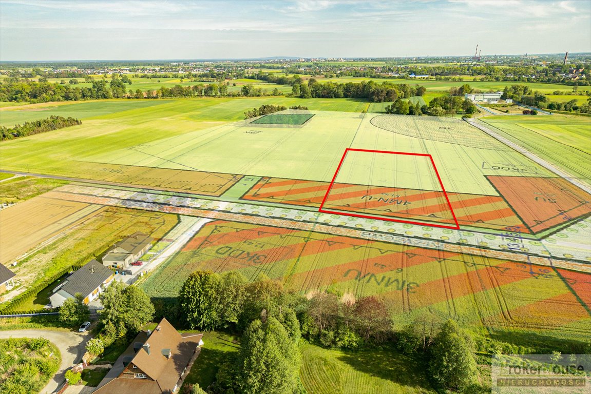 Działka budowlana na sprzedaż Opole, Krzyżowa  8 000m2 Foto 2