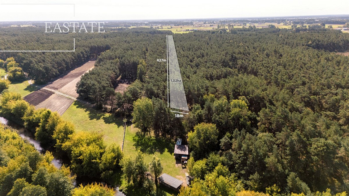 Działka leśna na sprzedaż Maurzyce  10 200m2 Foto 1