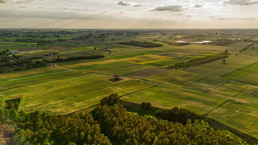 Dom na sprzedaż Brodnica  175m2 Foto 5