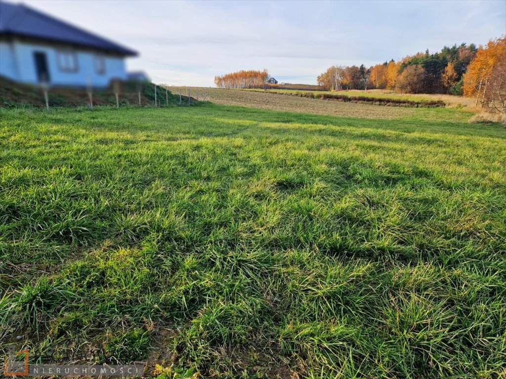 Działka budowlana na sprzedaż Masłomiąca  1 334m2 Foto 1