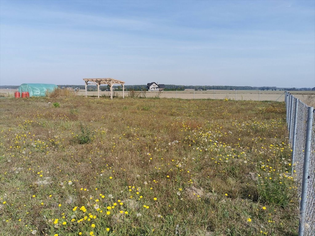 Działka budowlana na sprzedaż Lipka, Lipka  1 000m2 Foto 4