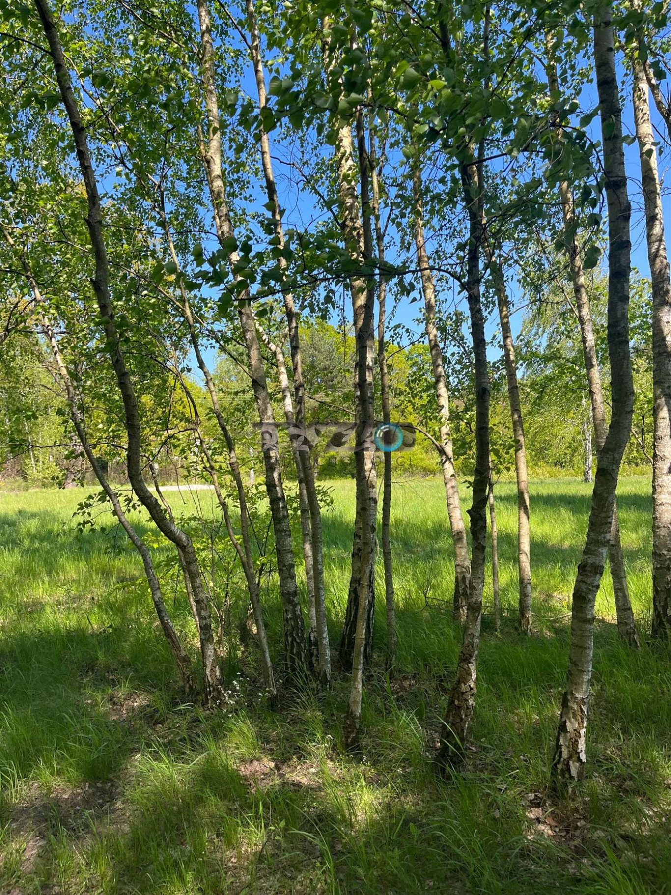 Działka pod osiedle 4100 m² las cisza i spokój Józefów, Józefów, Podchorążych  700m2 Foto 1