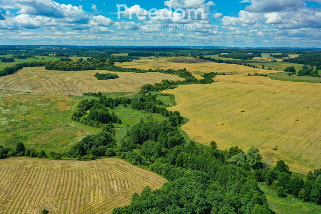 Działka rolna na sprzedaż Bezławki  36 000m2 Foto 3