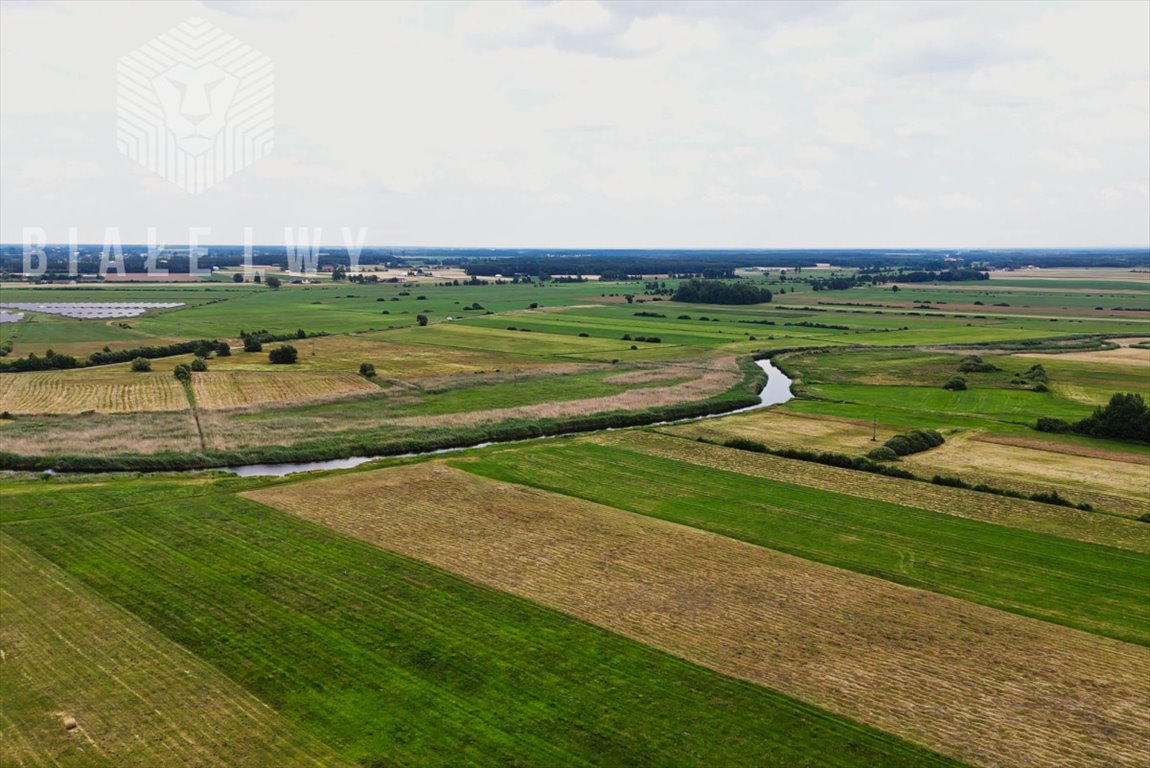 Działka inwestycyjna na sprzedaż Grajewo, Kopernika  10 600m2 Foto 6