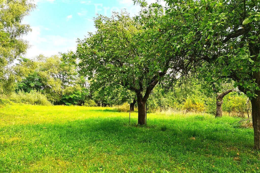 Działka komercyjna na sprzedaż Nart  3 270m2 Foto 4