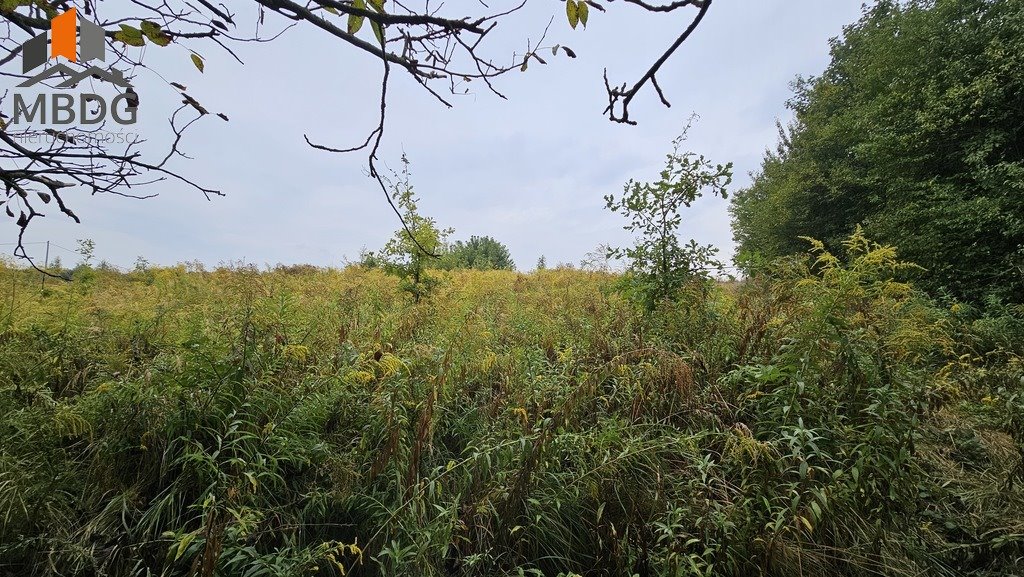 Działka rolna na sprzedaż Sieciechowice, Brzozowa  4 000m2 Foto 15