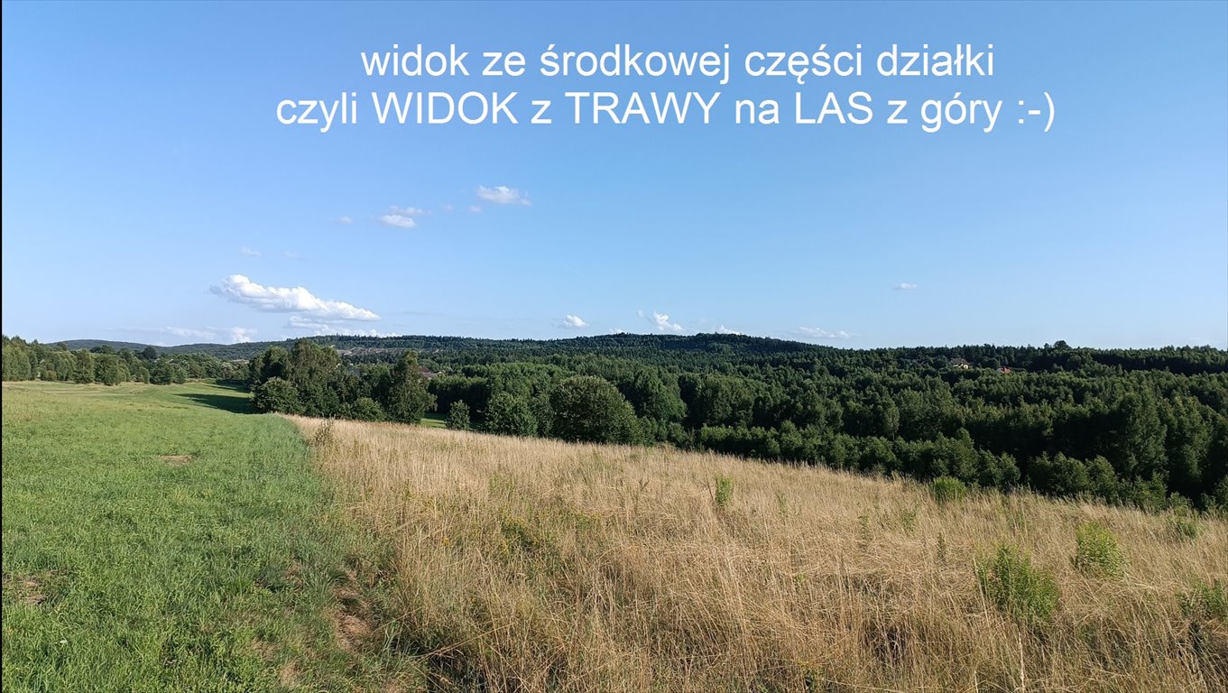 Działka siedliskowa na sprzedaż Czerwona Górka  27 100m2 Foto 2